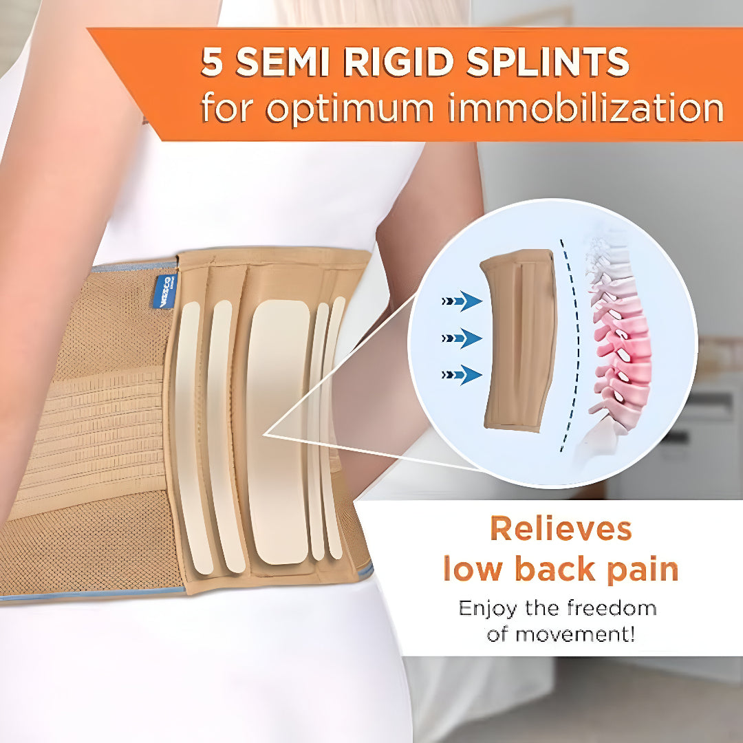 Orthoworld Premium Lumbar Support Belt for Running – Back Protection, Pain Relief & Posture Stability